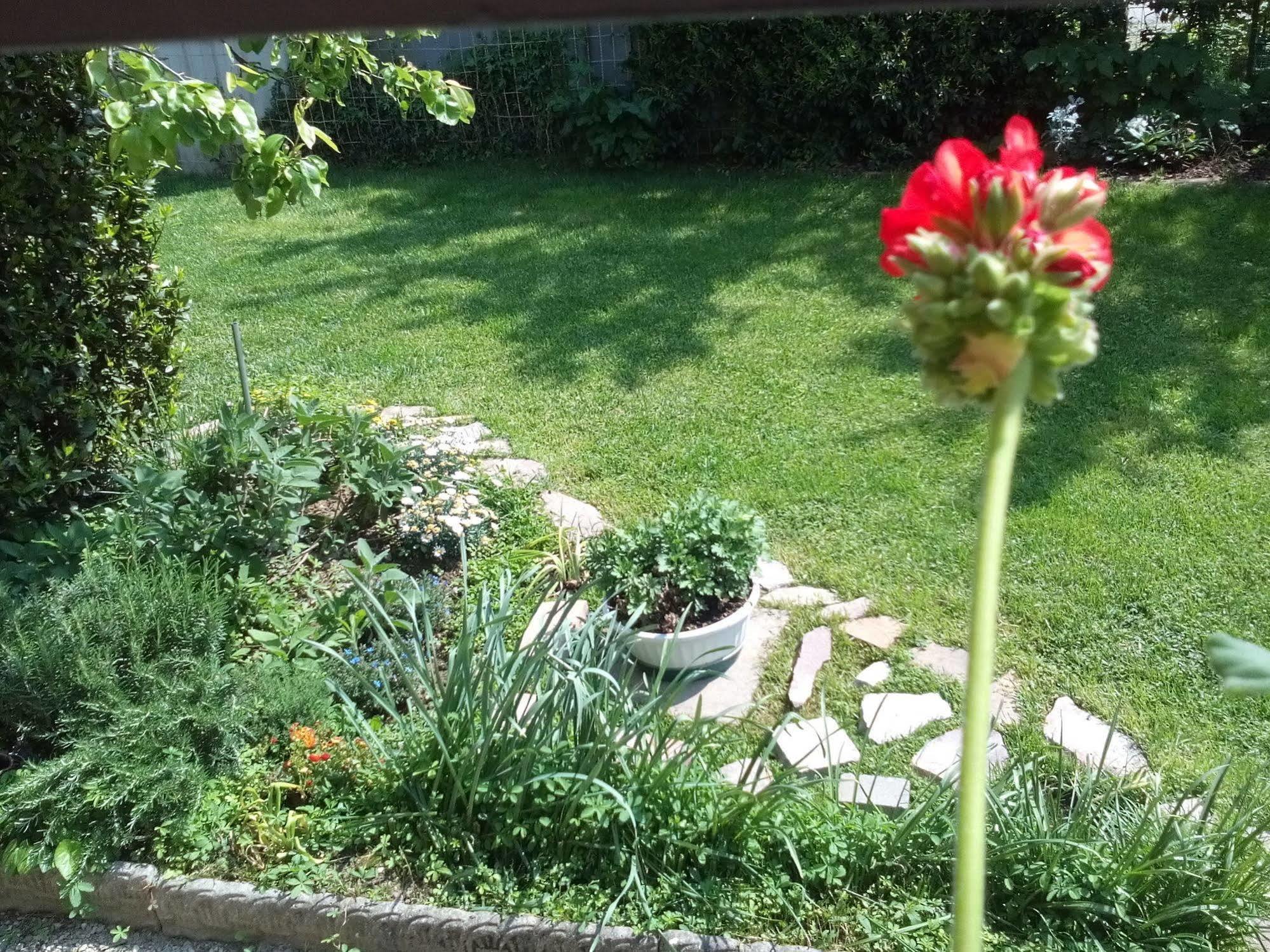 Casa Emanuela Bed & Breakfast Piazzola sul Brenta Eksteriør bilde
